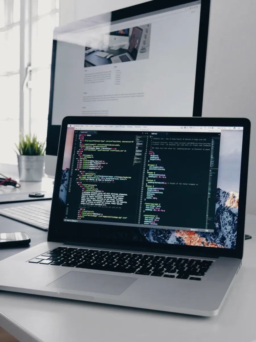 Custom website development